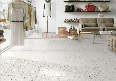 Gạch Ốp Lát APODIO 66TZ7501